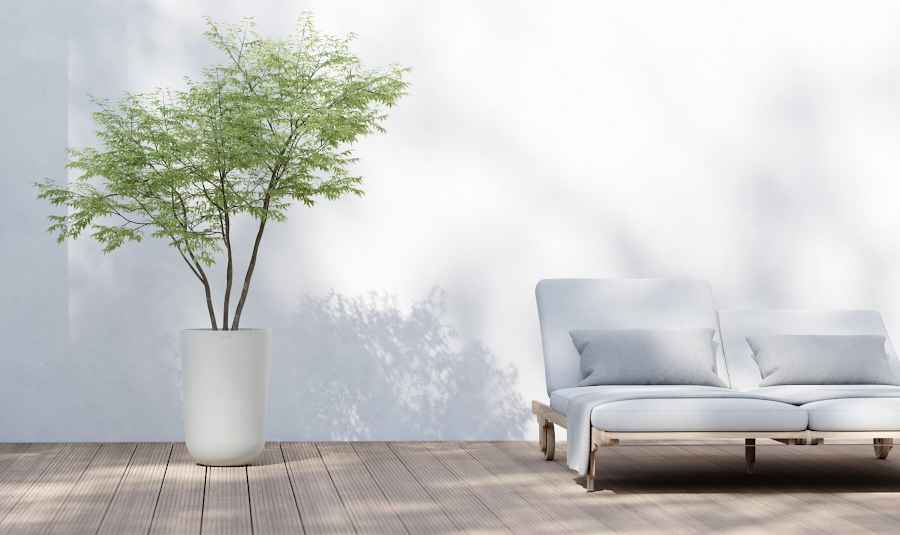 Λευκή Γλάστρα στην Βεράντα